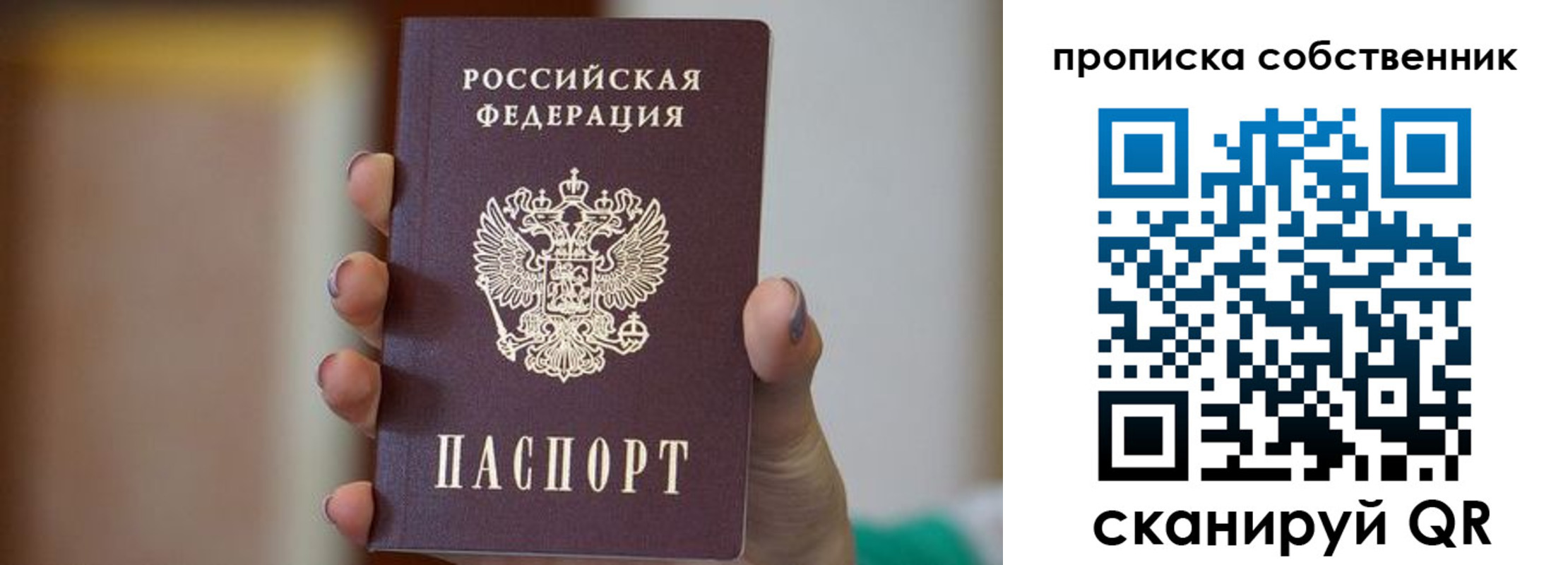 прописка поиск в Данкове